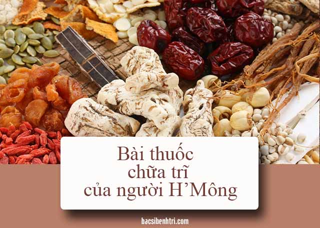 Bài thuốc chữa bệnh trĩ của người H'Mong