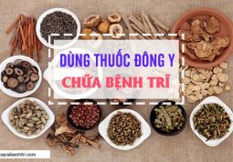 Dùng thuốc Đông y để chữa bệnh trĩ