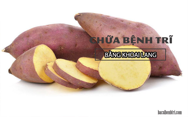 chữa bệnh trĩ bằng khoai lang 