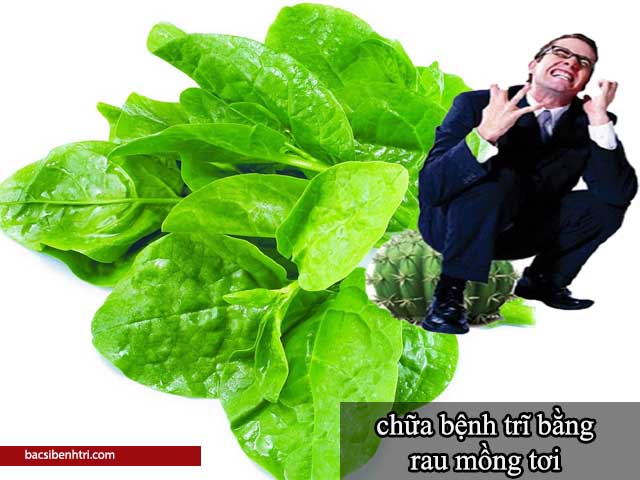 chữa bệnh trĩ bằng rau mồng tơi