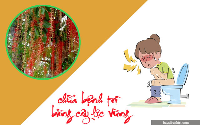 chữa bệnh trĩ bằng cây lộc vừng