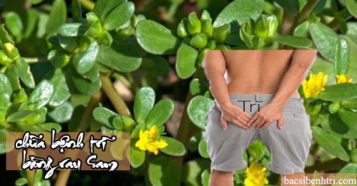 dùng rau sam chữa bệnh trĩ