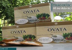 Thảo dược OVATA -Thực phẩm chức năng hỗ trợ điều trị bệnh trĩ