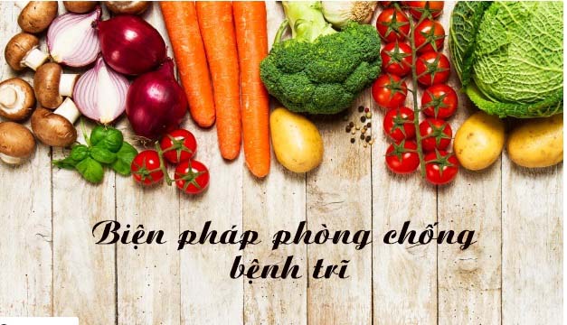 phòng chống bệnh trĩ