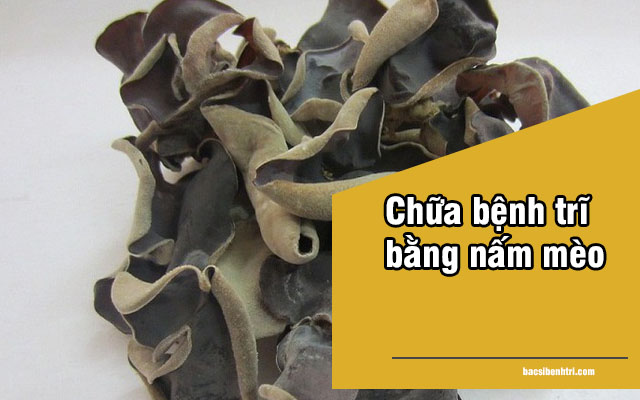 chữa bệnh trĩ bằng nấm mèo