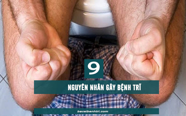 nguyên nhân bệnh trĩ