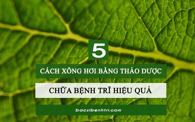 xông hơi chữa bệnh trĩ bằng thảo dược