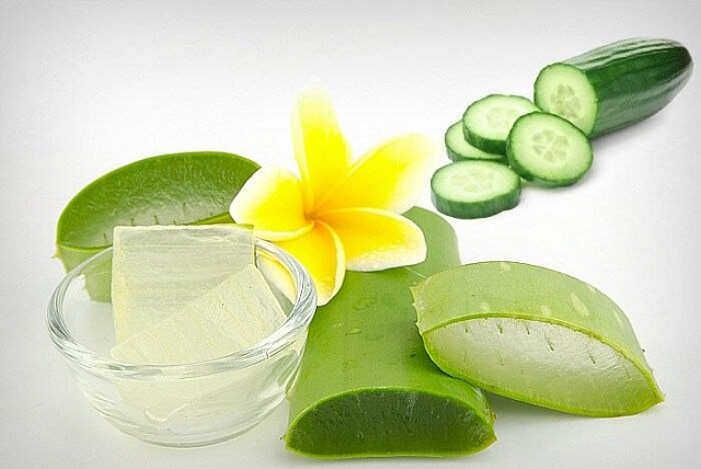 Chữa bệnh trĩ bằng nha đam Trị bệnh trĩ bằng nha đam