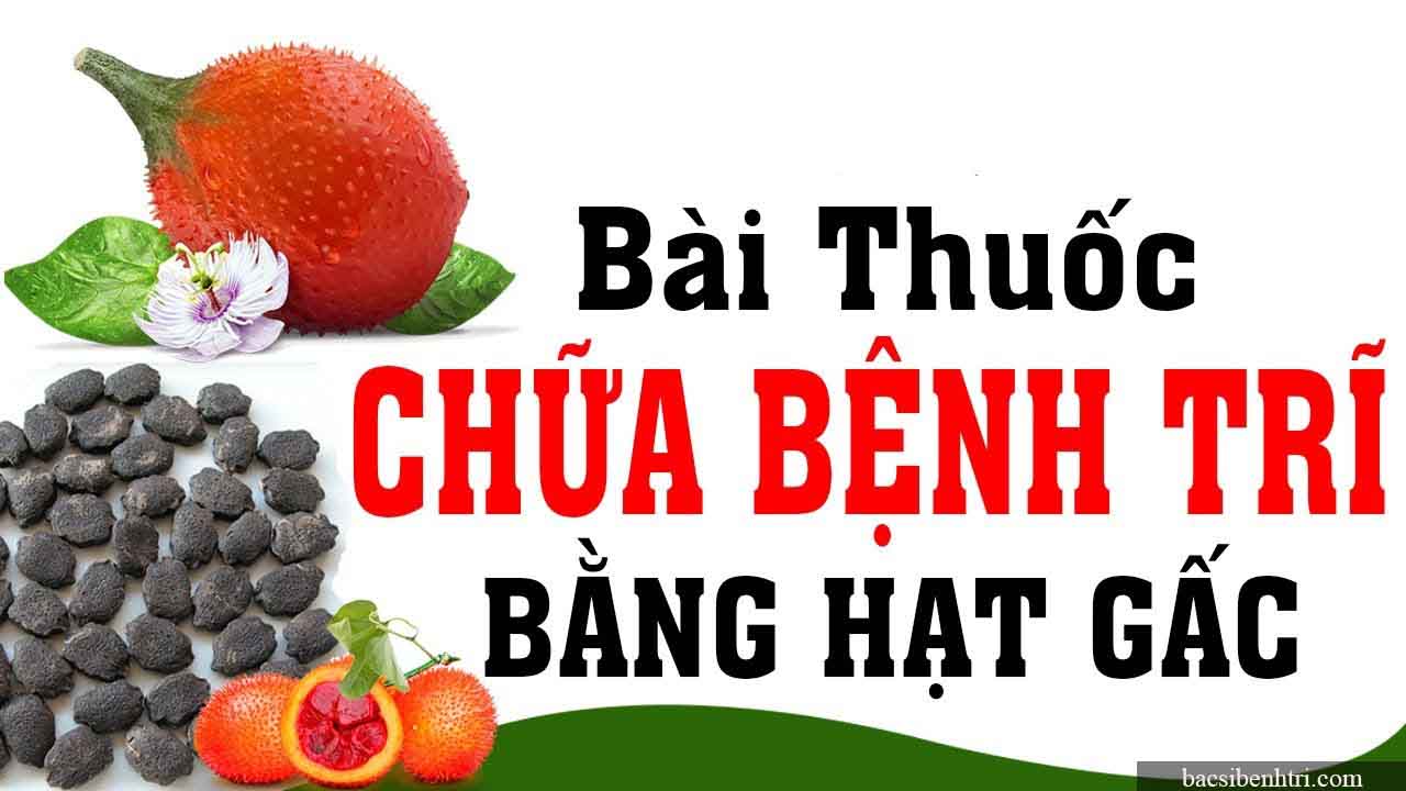 chữa bệnh trĩ bằng hạt gấc