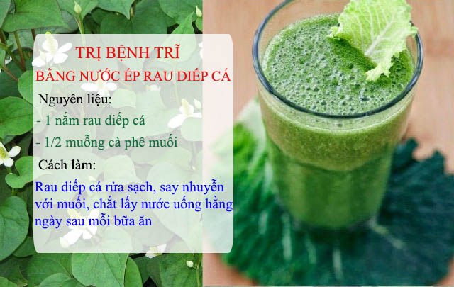 Hướng dẫn chữa bệnh trĩ tại nhà bằng rau diếp cá Chữa bệnh trĩ tại nhà bằng rau diếp cá