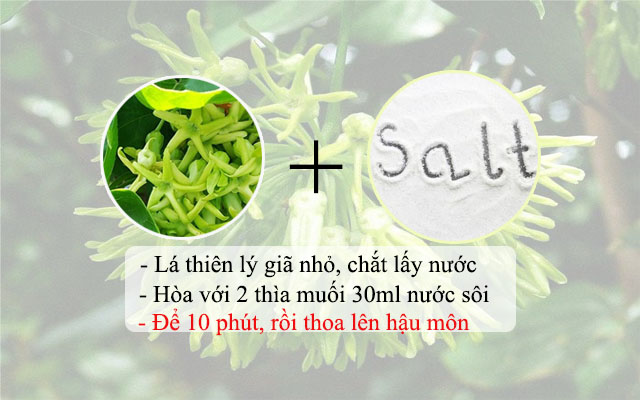 chữa bệnh trĩ bằng hoa thiên lý chữa bệnh trĩ bằng hoa thiên lý