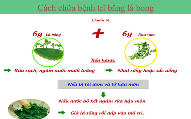 Chữa bệnh trĩ bằng lá bỏng