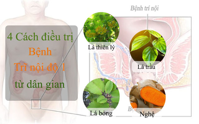 Chữa bệnh trĩ nội độ 1 từ dân gian