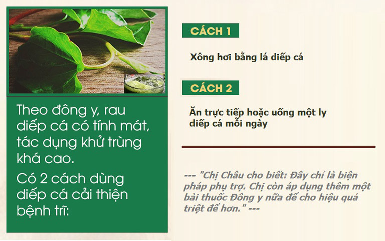 Cách dùng rau diếp cá để giải quyết bệnh trĩ