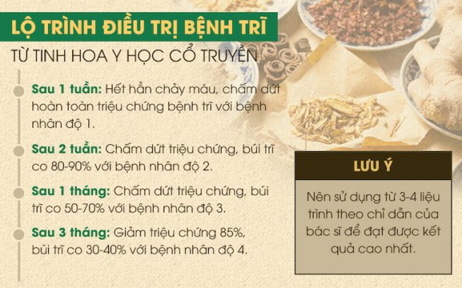 Lộ trình loại bỏ bệnh trĩ bằng Thăng trĩ Dưỡng huyết thang