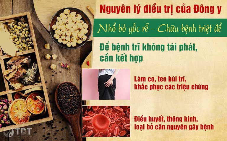 Nguyên tăc điều trị bệnh trĩ bằng Đông y người bệnh nên biết để lưa chọn đúng