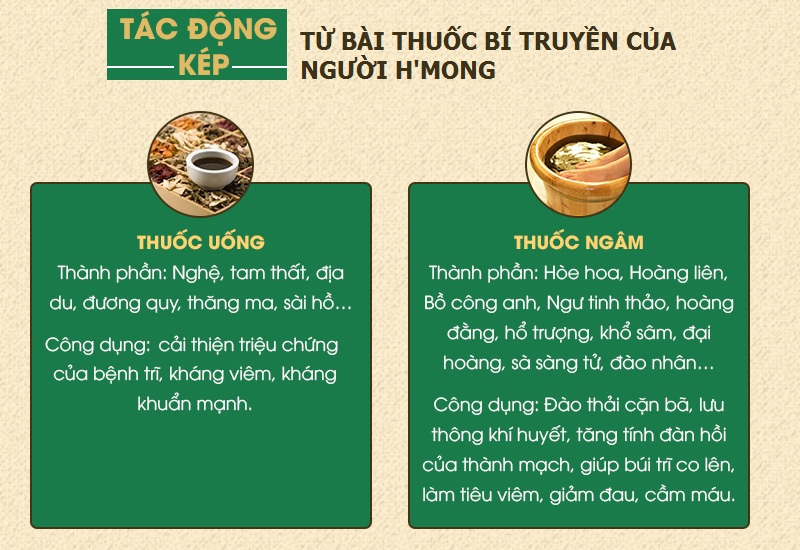 Thông tin thành phần – công dụng bài thuốc Thăng trĩ Dưỡng huyết thang