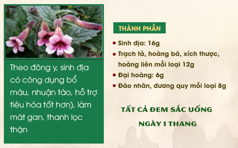 Bài thuốc chữa bệnh trĩ từ sinh địa