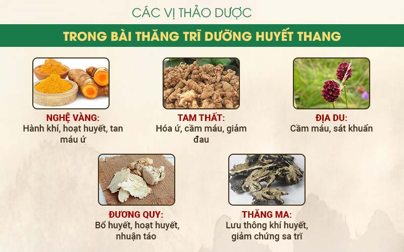 Thành phần thảo dược đặc trị của Thăng trĩ Dưỡng huyết thang