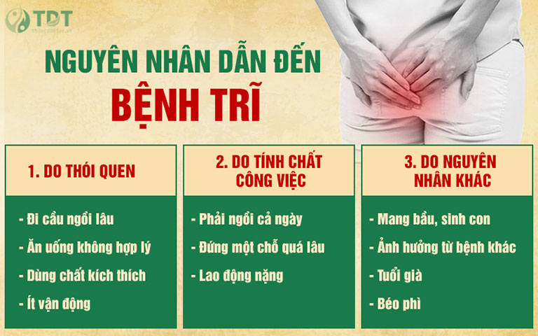 Nguyên nhân chính gây ra bệnh trĩ