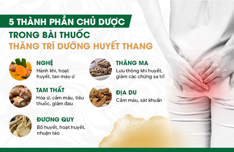 Công dụng các thành phần tá dược trong bài thuốc Thăng trĩ Dưỡng huyết thang